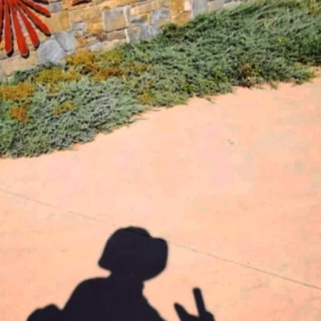Instagram bild